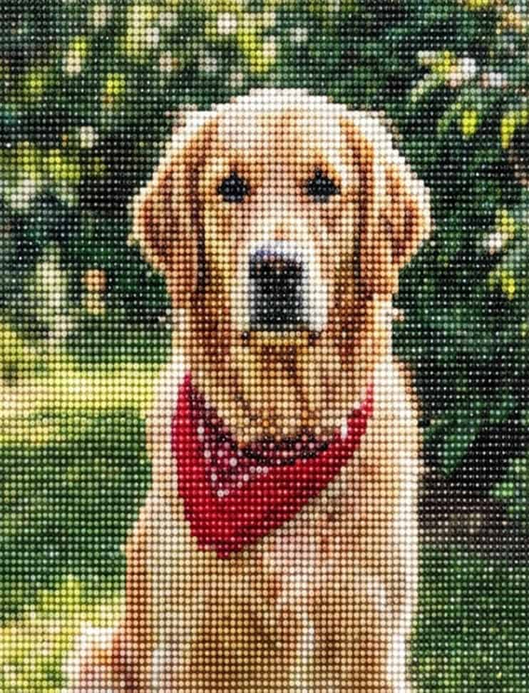 completed-custom-diamond-painting-golden-retriever