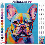 Colorful diamond painting canvas design of a French Bulldog with a blue background, featuring the DrillnDazzle brand logo at the top, a color chart on the right, and paintbrushes and color swatches on the left.