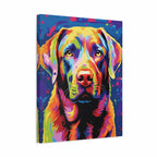 A square canvas wall art print featuring a colorful pop-art style portrait of a Labrador retriever on a white background.