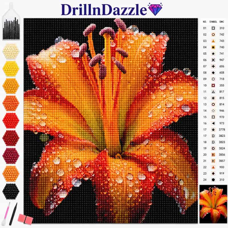 A diamond painting or cross-stitch style floral kit preview showing a large orange and yellow lily flower with water droplets on a black grid background. The image includes a color palette strip on the left, a numbered symbol reference chart on the right, and the DrillnDazzle brand name at the top with a small diamond icon.