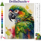 A colorful diamond painting style parrot design with a color legend and symbol guide on a white background. The top displays the brand name 'DrillnDazzle' with a pink diamond icon, and the left side shows a vertical row of colored diamond paint chips.