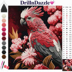 DrillnDazzle diamond painting kit featuring a pink and white cockatoo with pink flowers on a black background, complete with a color chart, symbols, and paintbrushes.