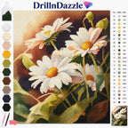 A diamond painting or cross-stitch style floral kit preview showing a daisy design with a color chart, brand name DrillnDazzle at the top, a row of color swatches on the left, and a small finished sample corner on the bottom right.