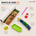 DrillInDazzle diamond painting kit components displayed on a light beige background with callout text labels. The kit includes a waterproof canvas showing a golden retriever design, a pink sticky pen, red adhesive wax, a clear plastic tray of multicolor diamond beads, and a bright green plastic tray.